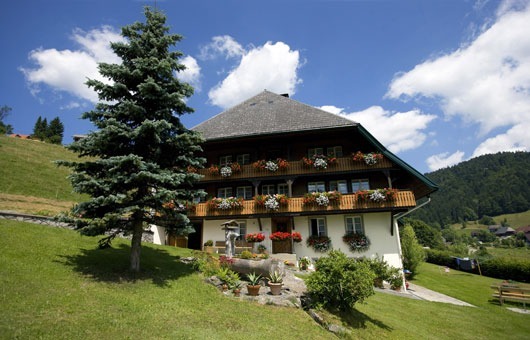 Alemania , Austria, Suiza Naturaleza y Bienestar