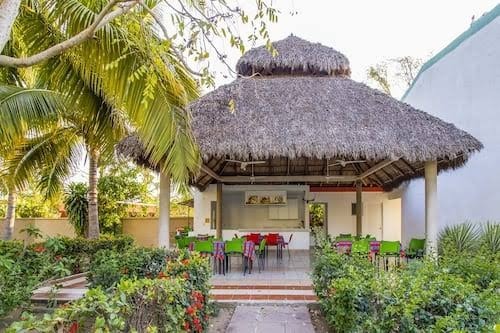 Palapa