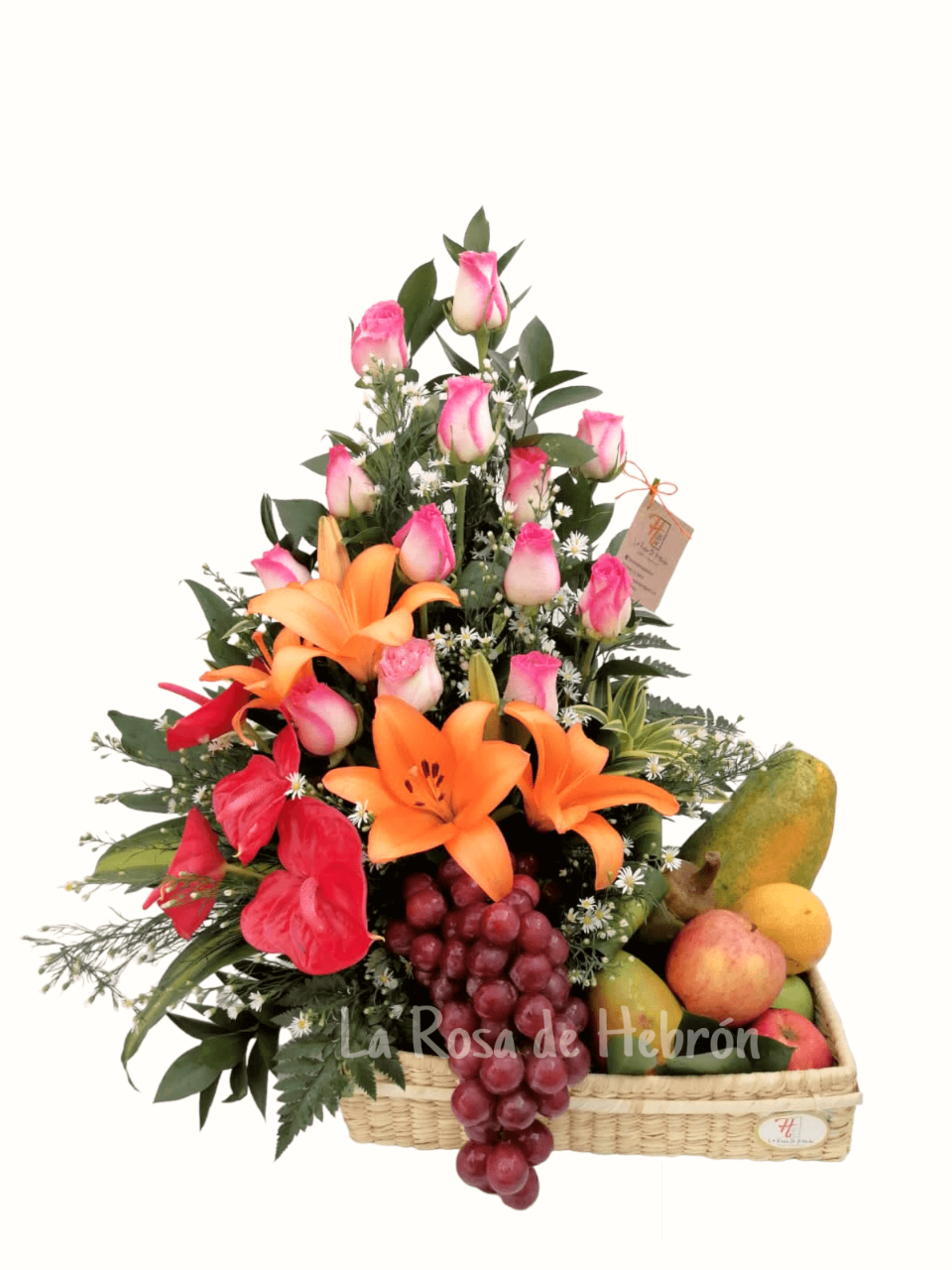 image-upload1699139019.png, image size:960x1280